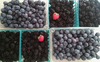 berries in basket