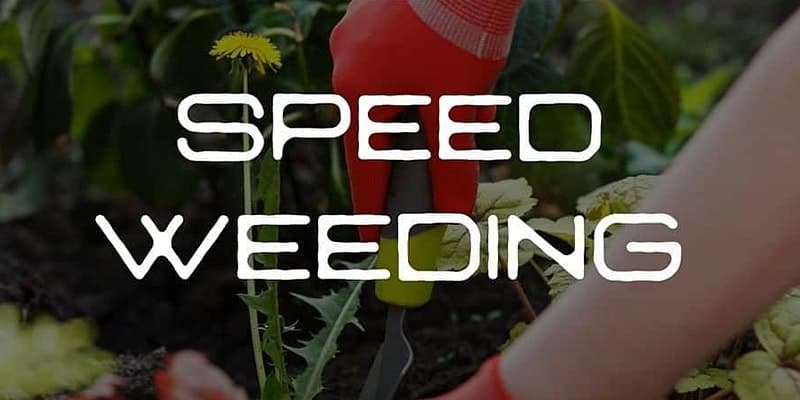 Speed Weeding