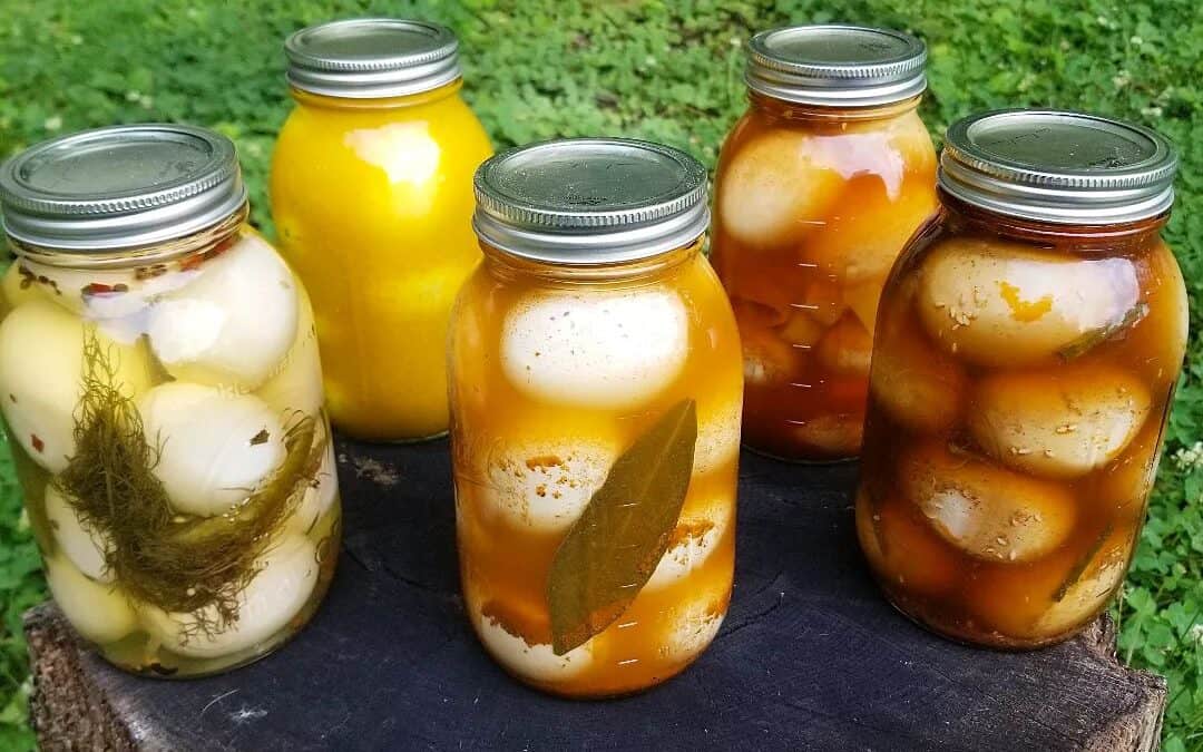 Canning 101: Pickled Eggs @Ivy Academy